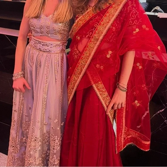 Elegant Embellished Lehenga with Sheer Overlay- silver and gold - Picture 2 of 2